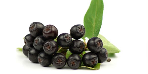 Fruits of black mountain ash useful for diabetes. 